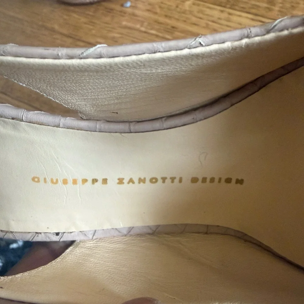 Giuseppe Zanotti giuseppe zanotti